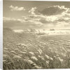 Michael Kahn art print