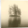 Michael Kahn art print