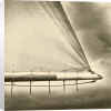 Michael Kahn art print