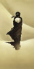 Renato Casaro art print