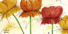 Sylvia Haigermoser art print