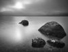 Tom Weber art print