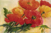 Elisabeth Krobs art print