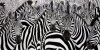 Renato Casaro art print