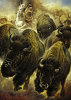 Renato Casaro art print