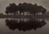 Paul Kozal art print