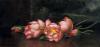 Martin Johnson Heade art print