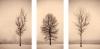 Paul Kozal art print