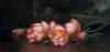 Martin Johnson Heade art print
