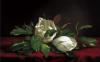 Martin Johnson Heade art print