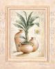 Claudio Ancilotti art print