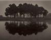 Paul Kozal art print