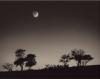 Paul Kozal art print