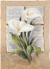 Laura Martinelli art print