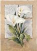 Laura Martinelli art print