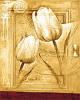 Joadoor art print