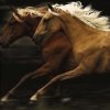 Tony Stromberg art print