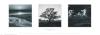 Ansel Adams art print