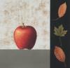 John Boyd art print