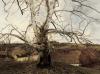 Andrew Wyeth art print