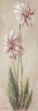 Vivien White art print