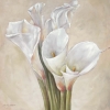 Vivien White art print