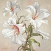 Vivien White art print