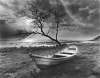 Olivier M�riel art print