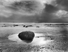 Olivier M�riel art print