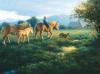 Robert Duncan art print