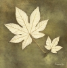 Alexandra Bex art print