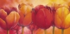 Alicia Sloan art print