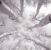 Adam Brock art print