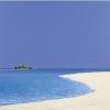 Werner Eick art print
