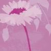 Kate Knight art print