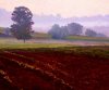 Kent Lovelace art print