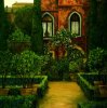 Montserrat Masdeu art print