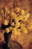 Thea Schrack art print