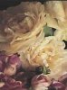 Thea Schrack art print