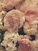 Thea Schrack art print