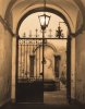 Marina Drasnin Gilboa art print