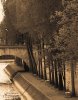Marina Drasnin Gilboa art print
