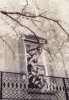 Thea Schrack art print