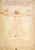 Leonardo da Vinci art print