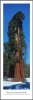 James Blakeway art print