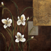 Teo Vineli art print