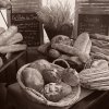 Alan Blaustein art print