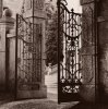 Alan Blaustein art print