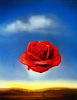 Salvador Dali art print