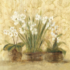 Cheri Blum art print
